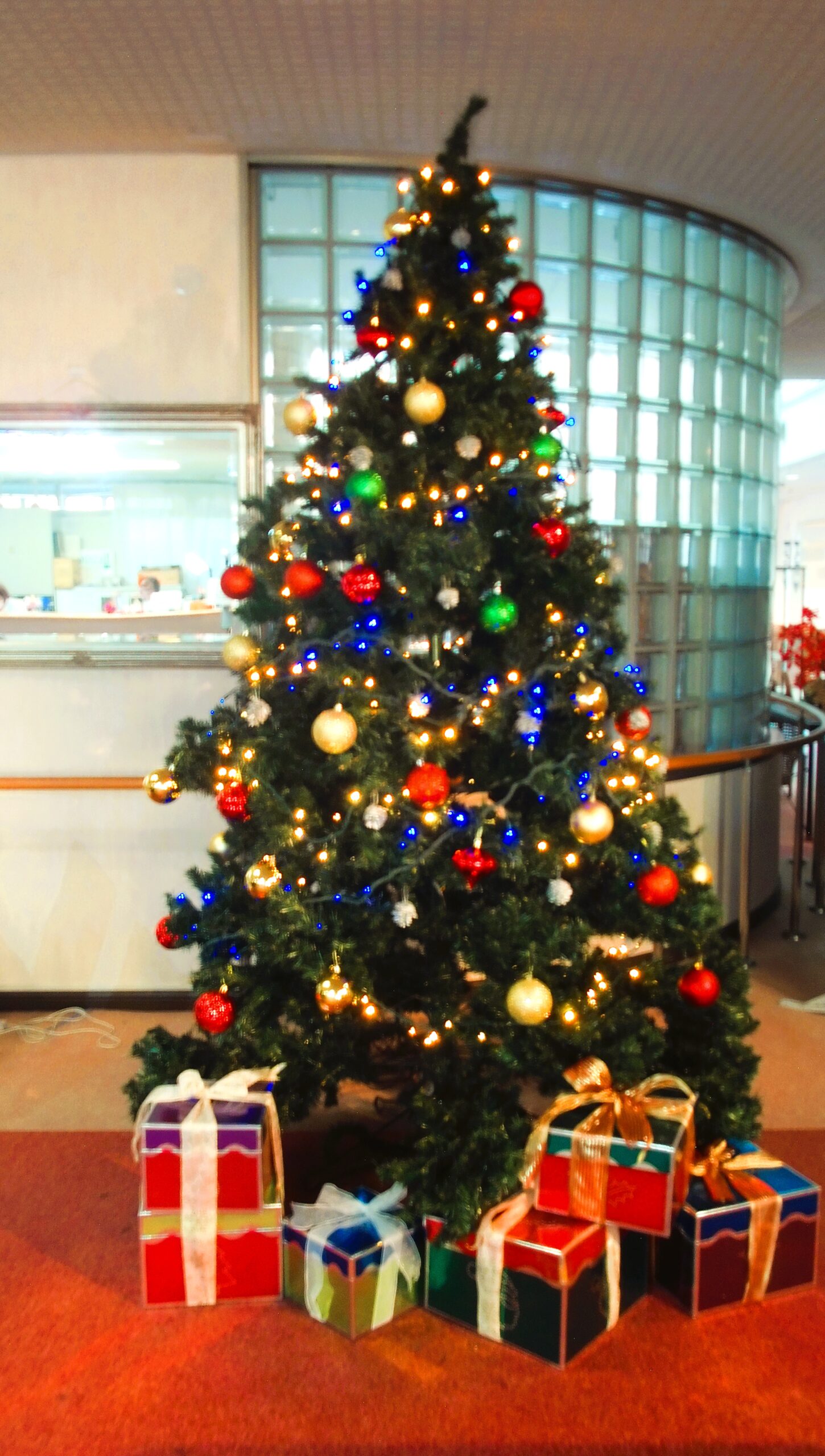 もうすぐクリスマス🔔