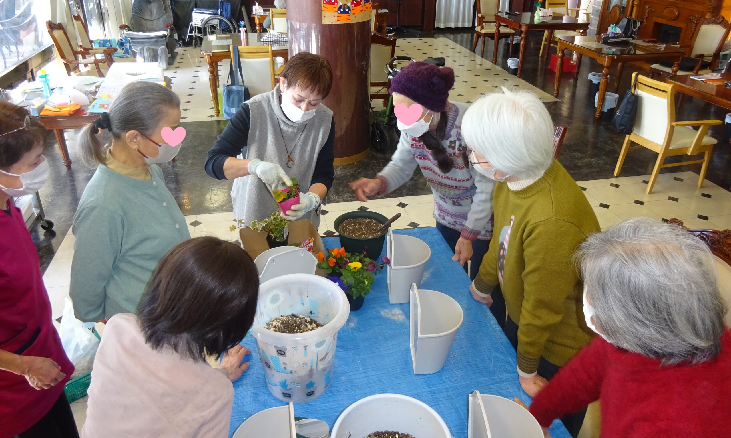 植え方のコツを伝授されました