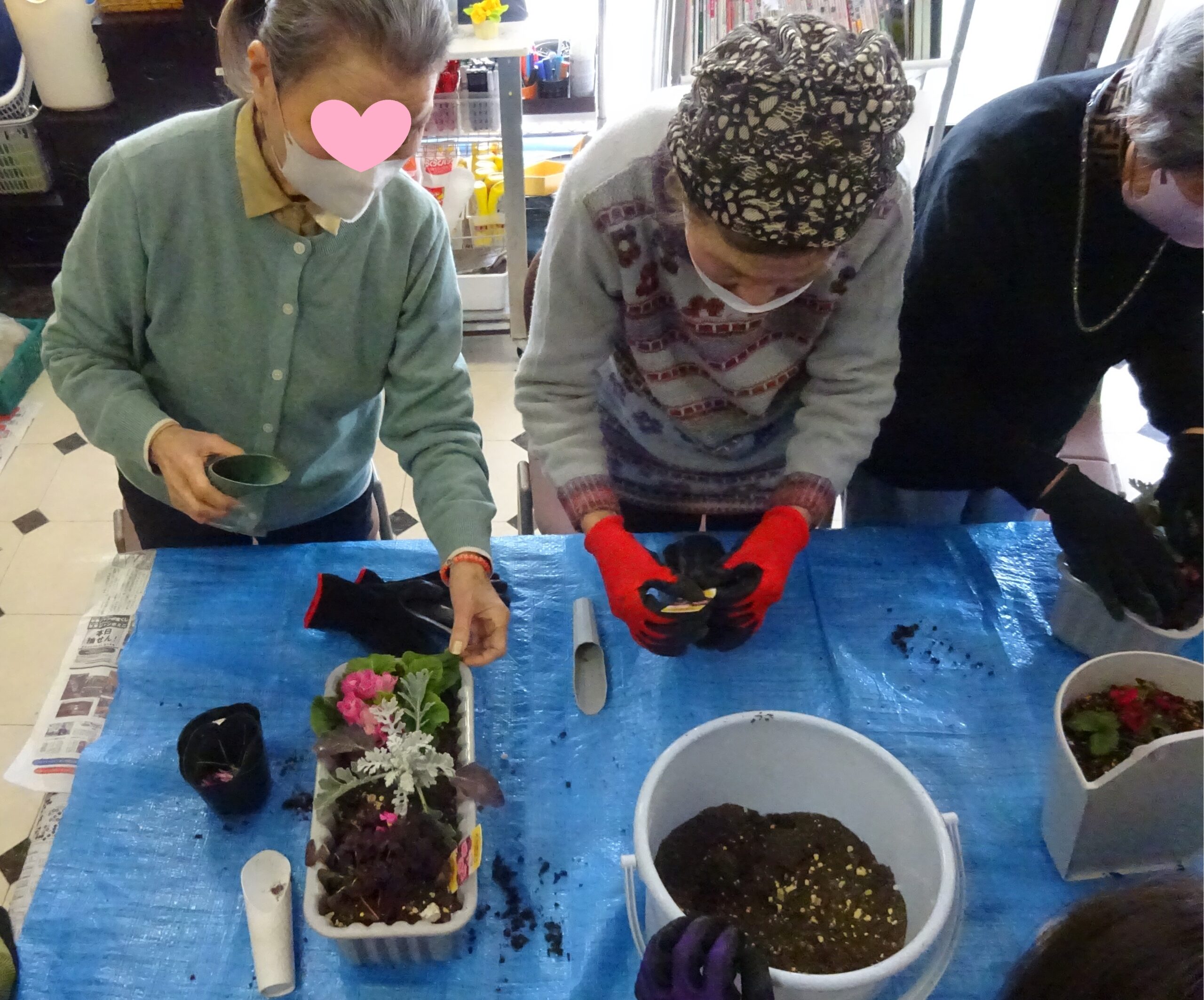 さぁ、寄せ植えしてみましょう!