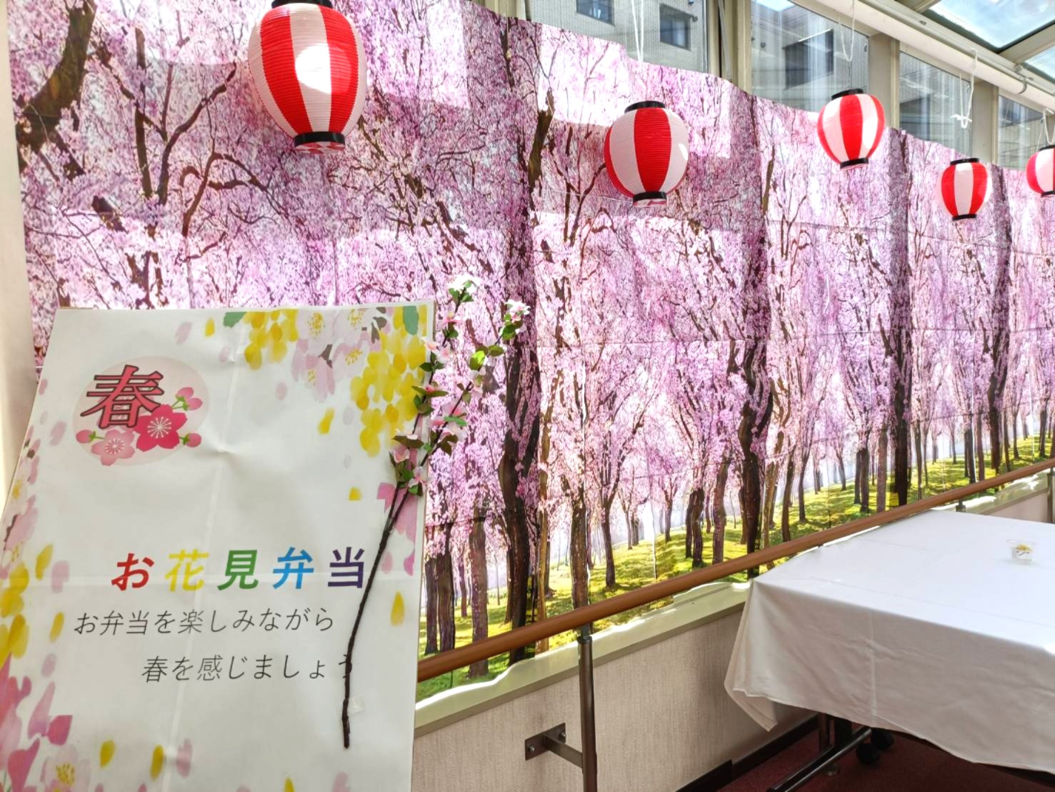 まだまだ春は終わりません🌸