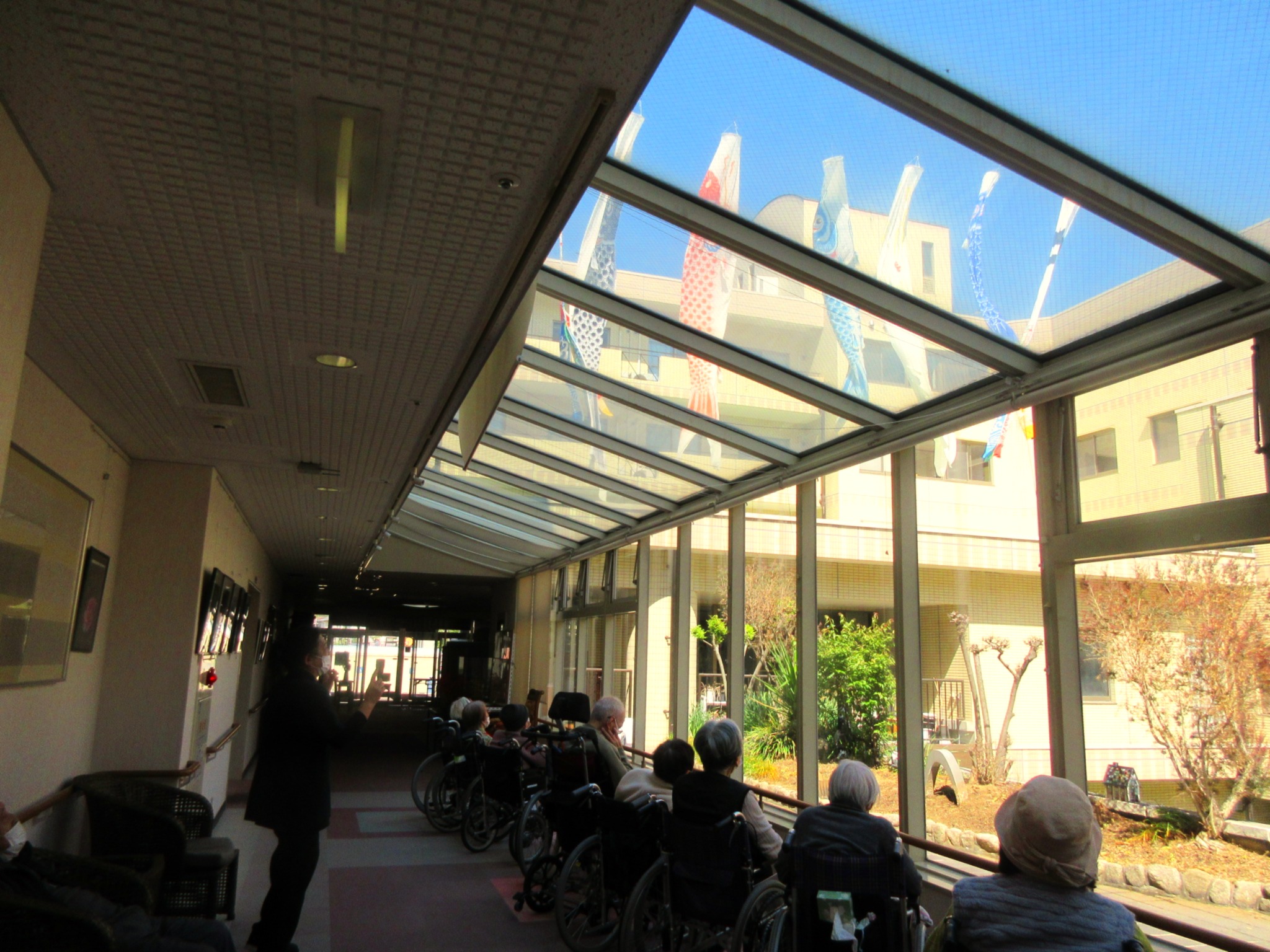 🎏やねよ~り~た~か~い こいの~ぼぉ~り~🎏