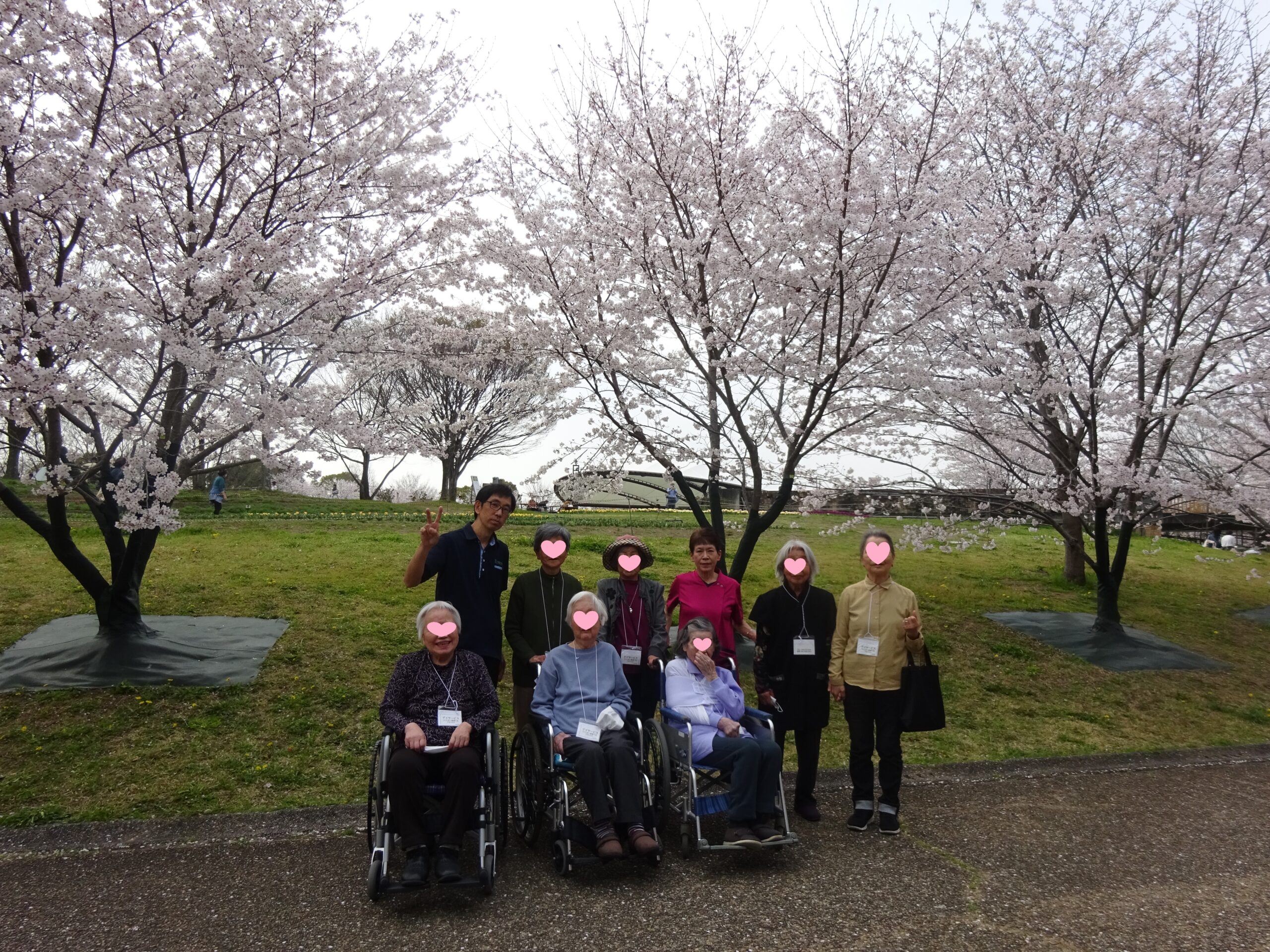 桜も徐々に開花！